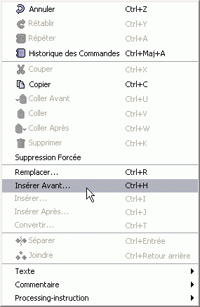 Le menu contextuel Edition